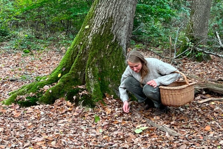 Pilze sammeln im Wald - eine Frau mit Sammelkörbchen (c) Paual Roesch