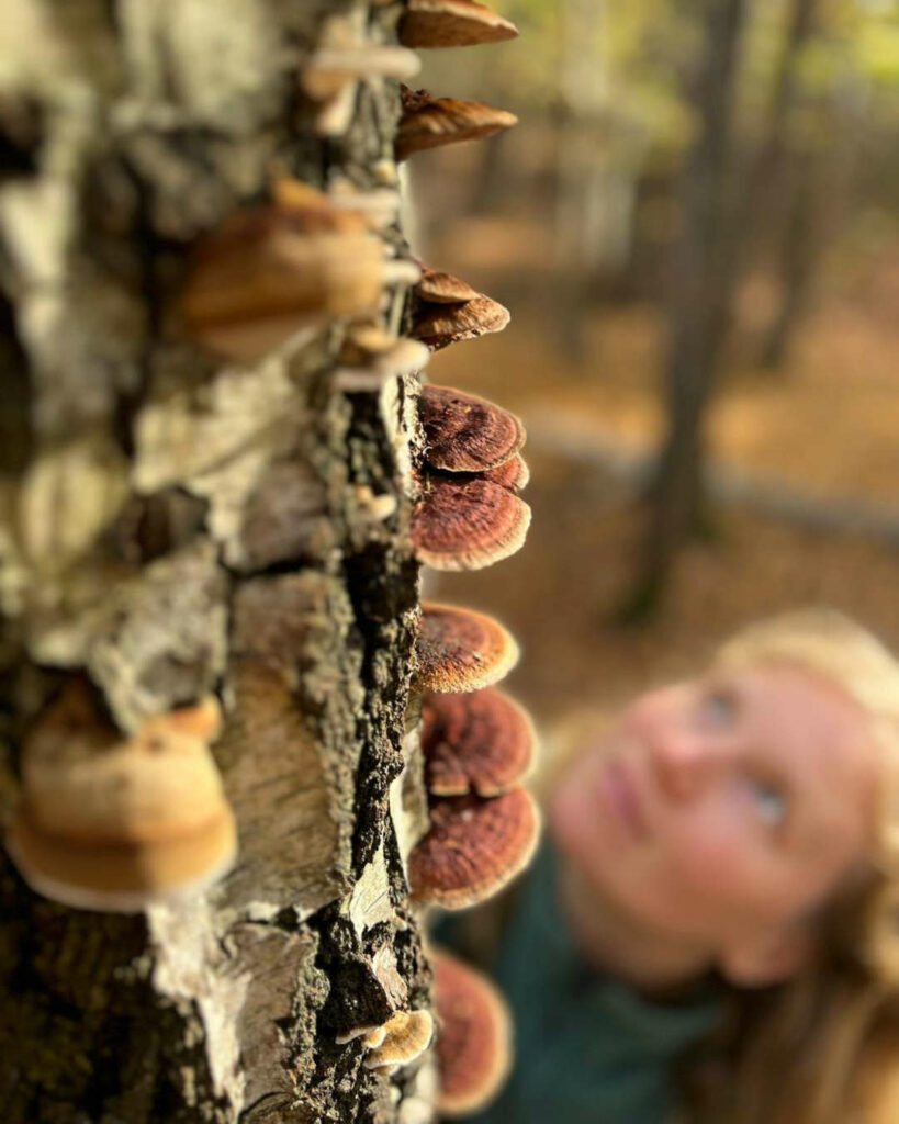 Paula beim Pilzesammeln - sie schaut sich einen Baumpilz an